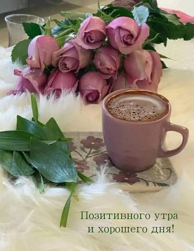 Позитивного утра и хорошего дня!
