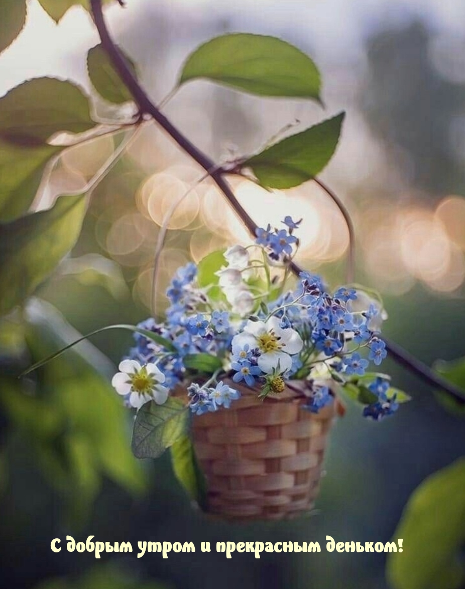 С добрым утром и прекрасным деньком!