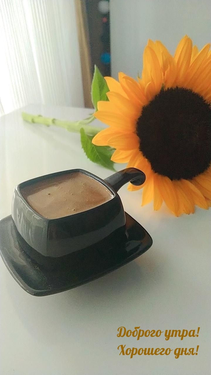 Доброго утра! Хорошего дня!