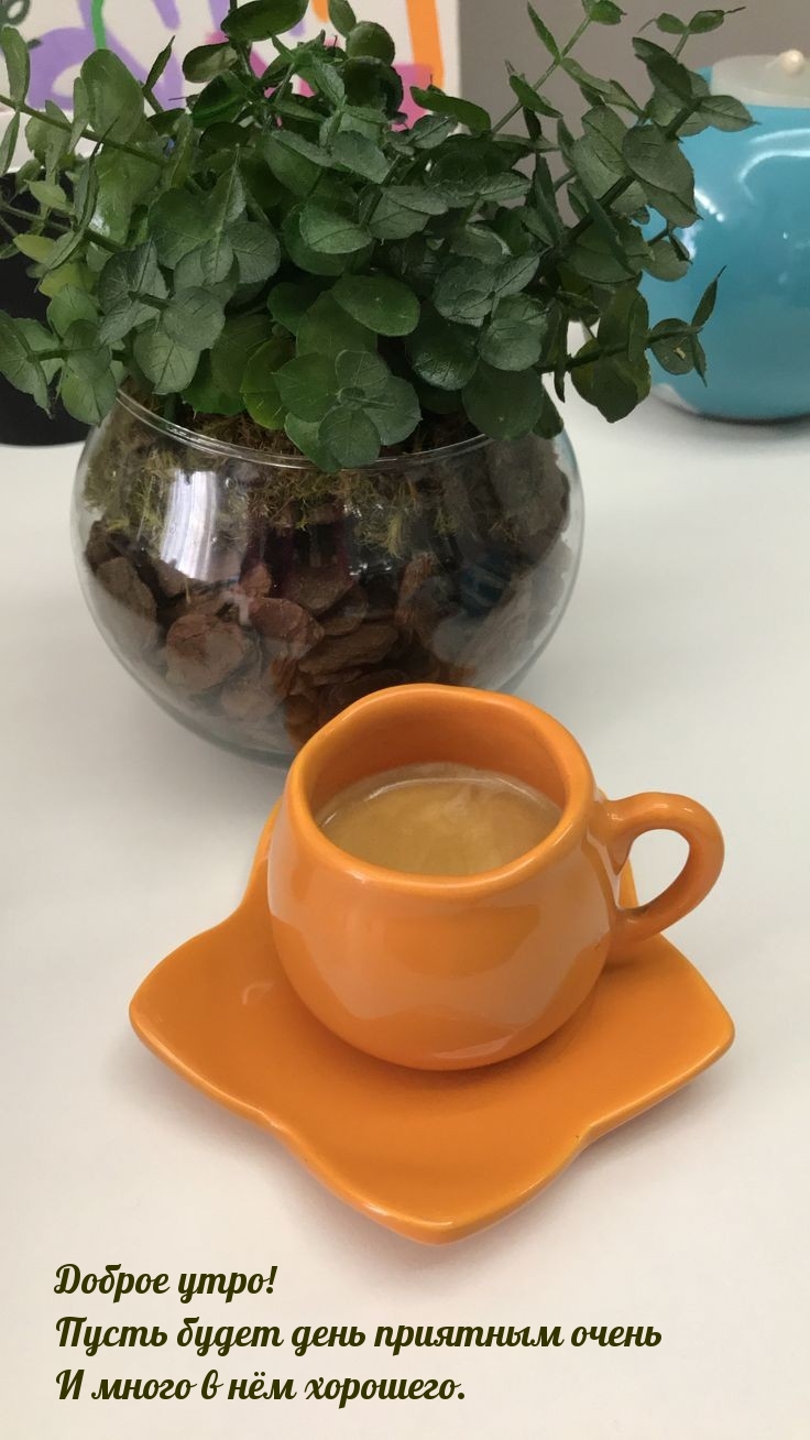 Доброе утро! Пусть будет день приятным и много в нём хорошего.