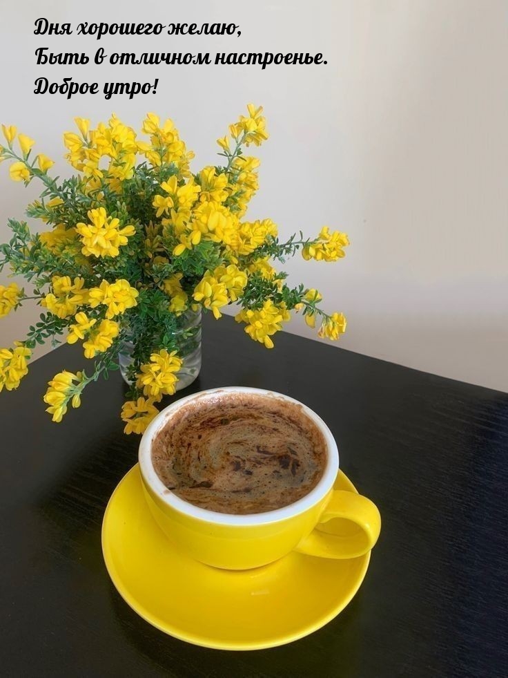 Дня хорошего желаю, быть в отличном настроенье. Доброе утро!