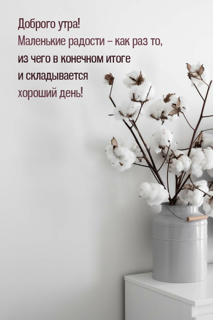 Маленькие радости – как раз то, из чего складывается хороший день!