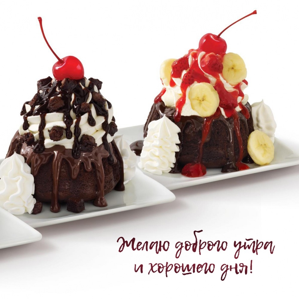 Желаю доброго утра и хорошего дня!