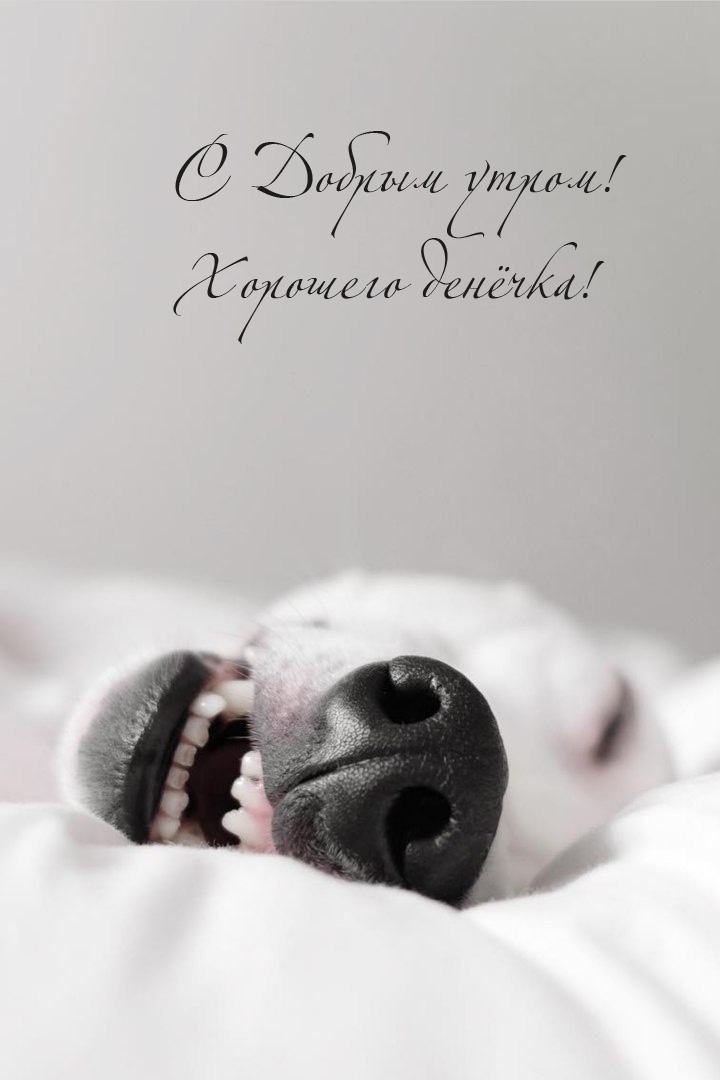С Добрым утром! Хорошего денёчка!