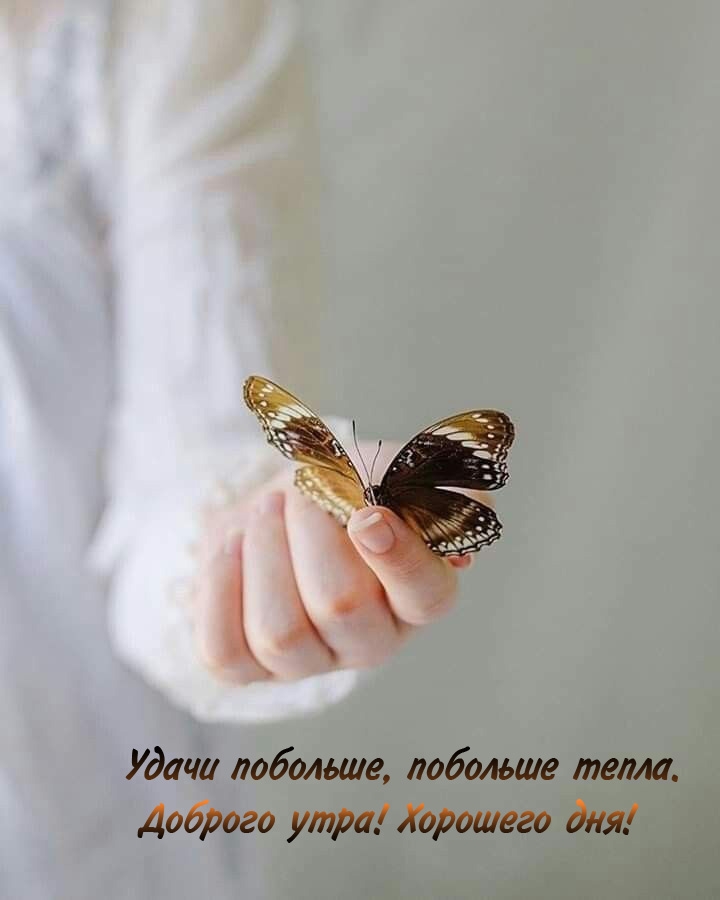 Удачи побольше, побольше тепла. Доброго утра! Хорошего дня!