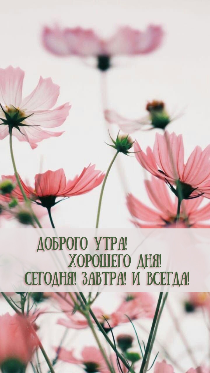 Доброго утра! Хорошего дня! Сегодня! Завтра! и Всегда! 
