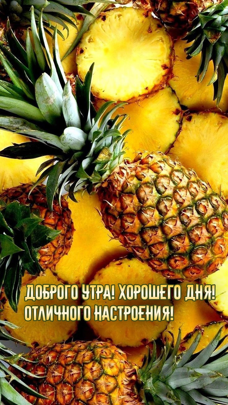 Доброго утра! Хорошего дня! Отличного Настроения!