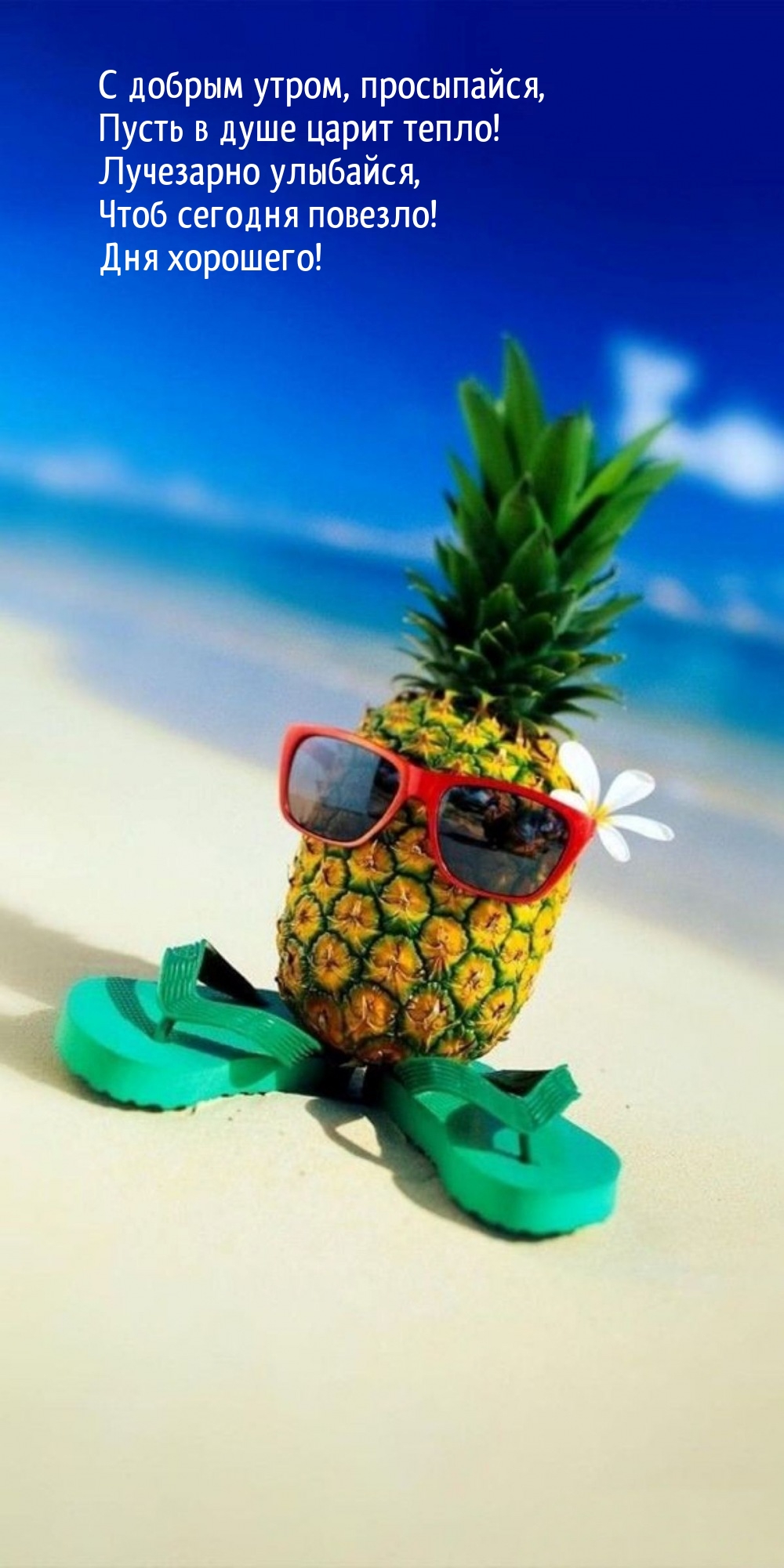 С добрым утром, просыпайся, пусть в душе царит тепло!