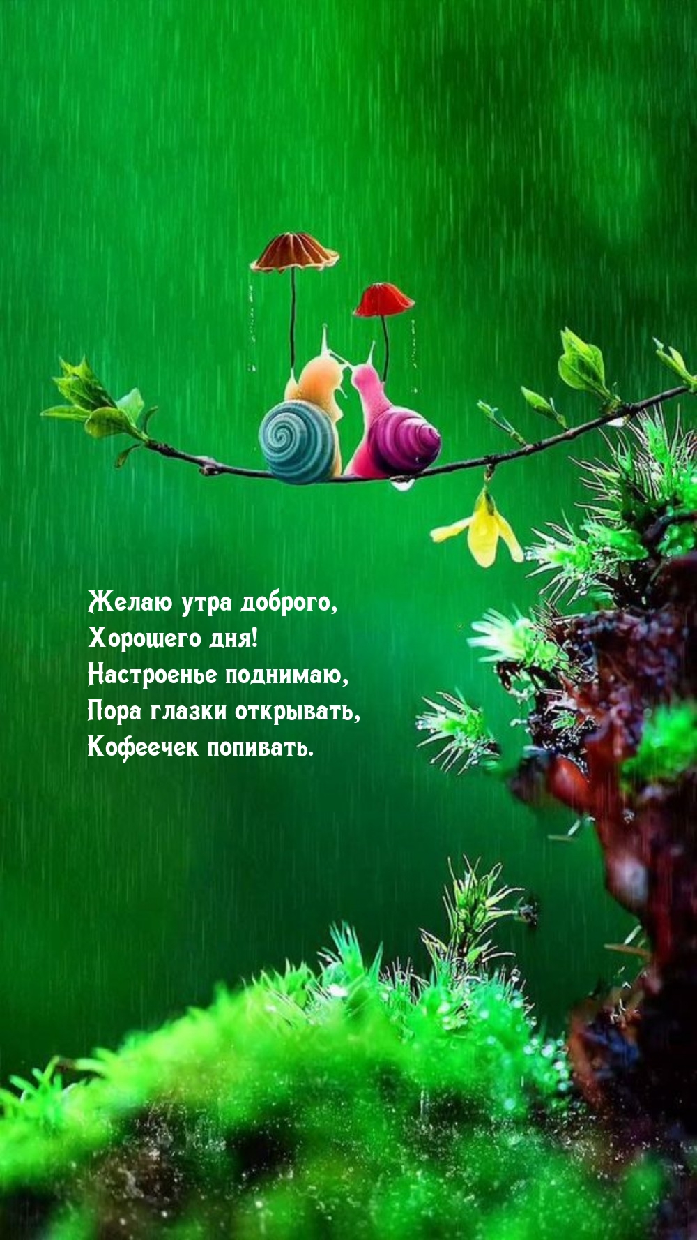 Желаю утра доброго, хорошего дня!