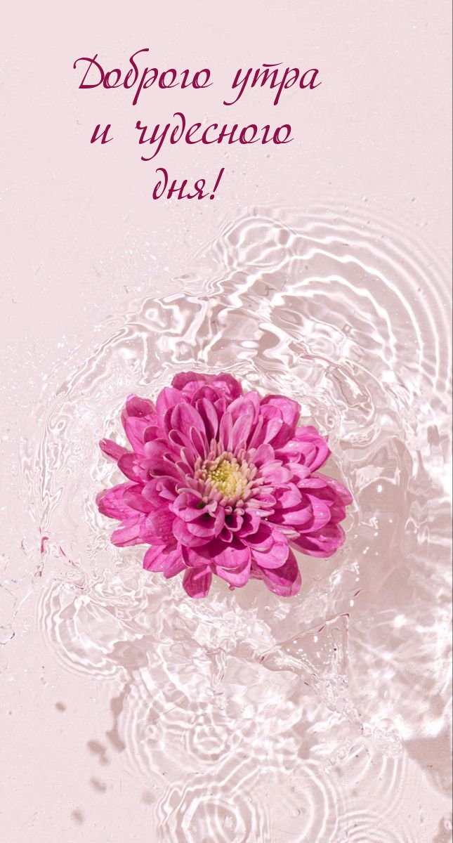 Доброго утра и чудесного дня!