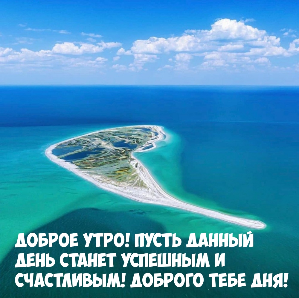 Доброе утро! Пусть данный день станет успешным и счастливым!