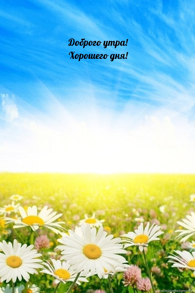 Доброго утра! Хорошего дня!