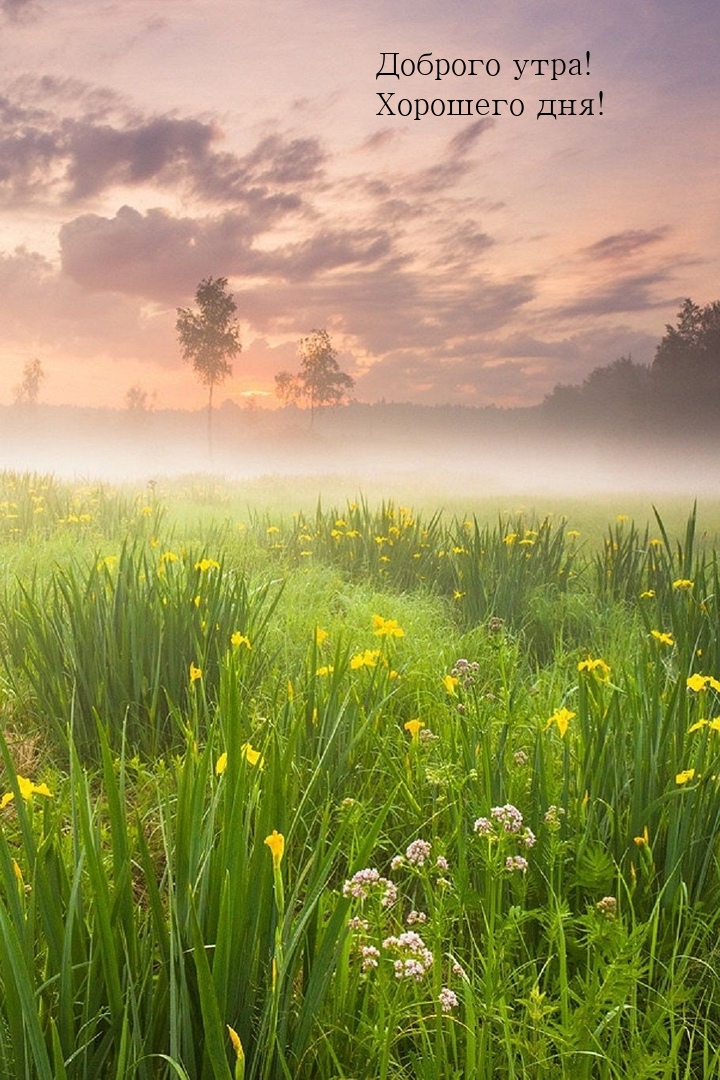 Доброго утра! Хорошего дня!
