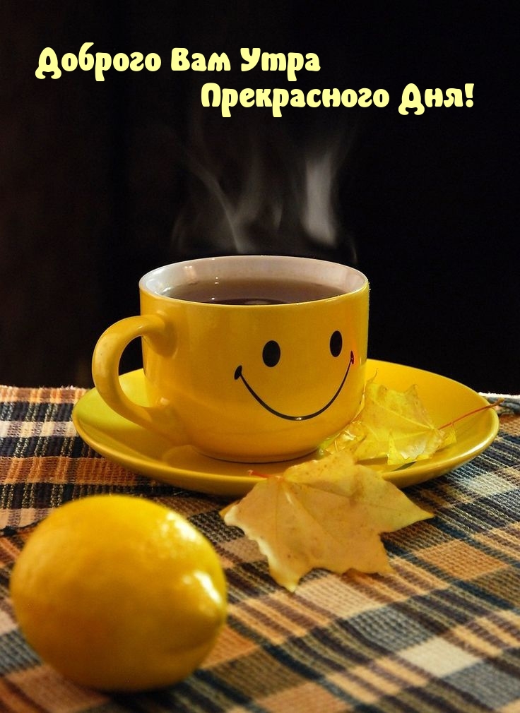 Доброго Вам Утра Прекрасного Дня!