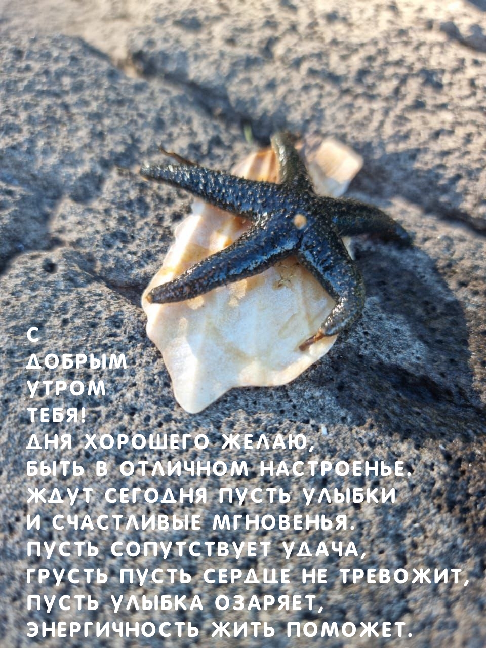 С добрым утром! Дня хорошего желаю