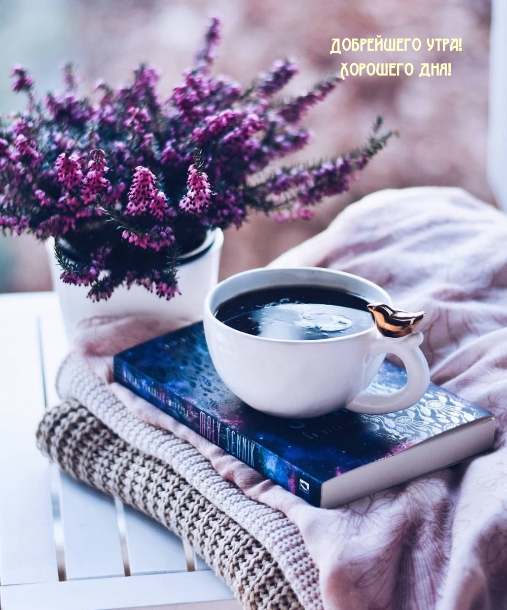 Добрейшего утра! Хорошего дня!