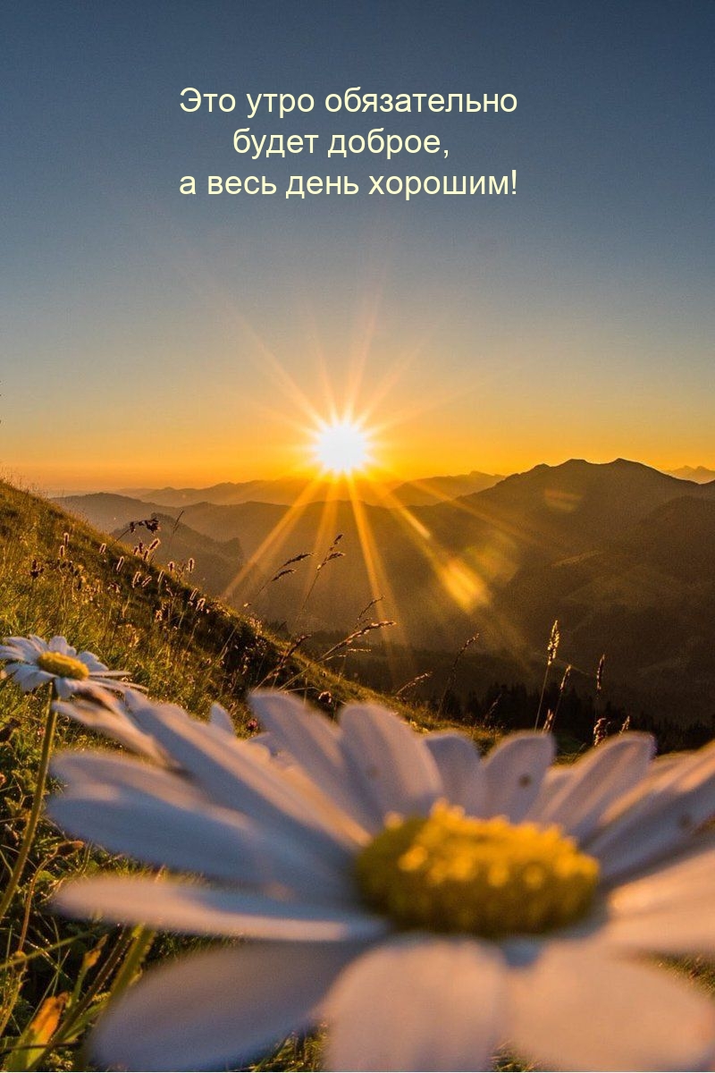 Это утро обязательно будет доброе, а весь день хорошим!