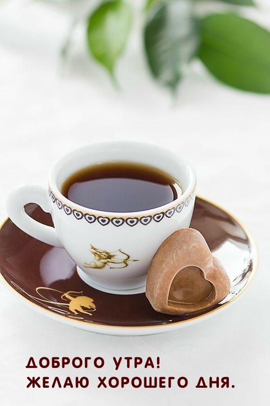 Доброго утра! Желаю хорошего дня.