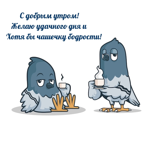 С добрым утром! Желаю удачного дня и хотя бы чашечку бодрости!
