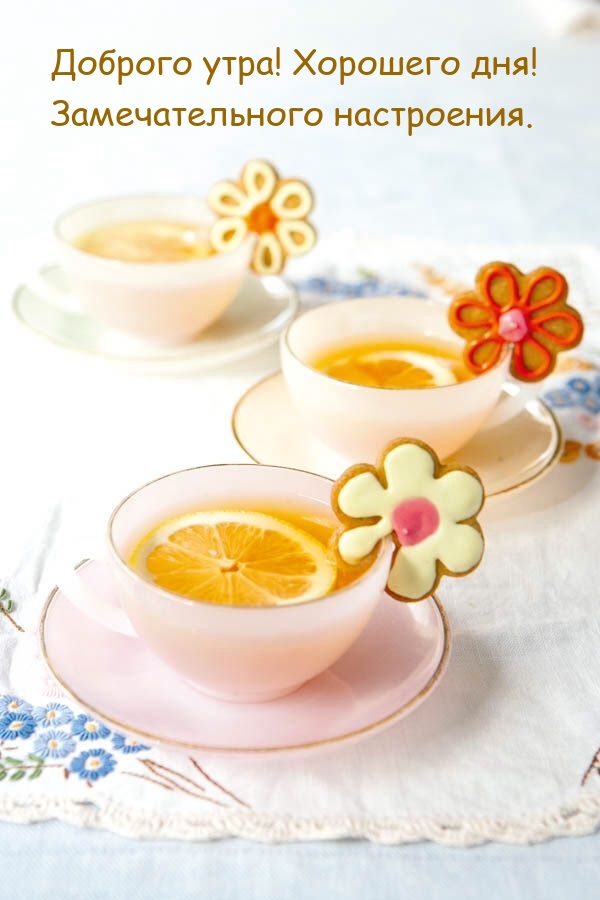 Доброго утра! Хорошего дня! Замечательного настроения.