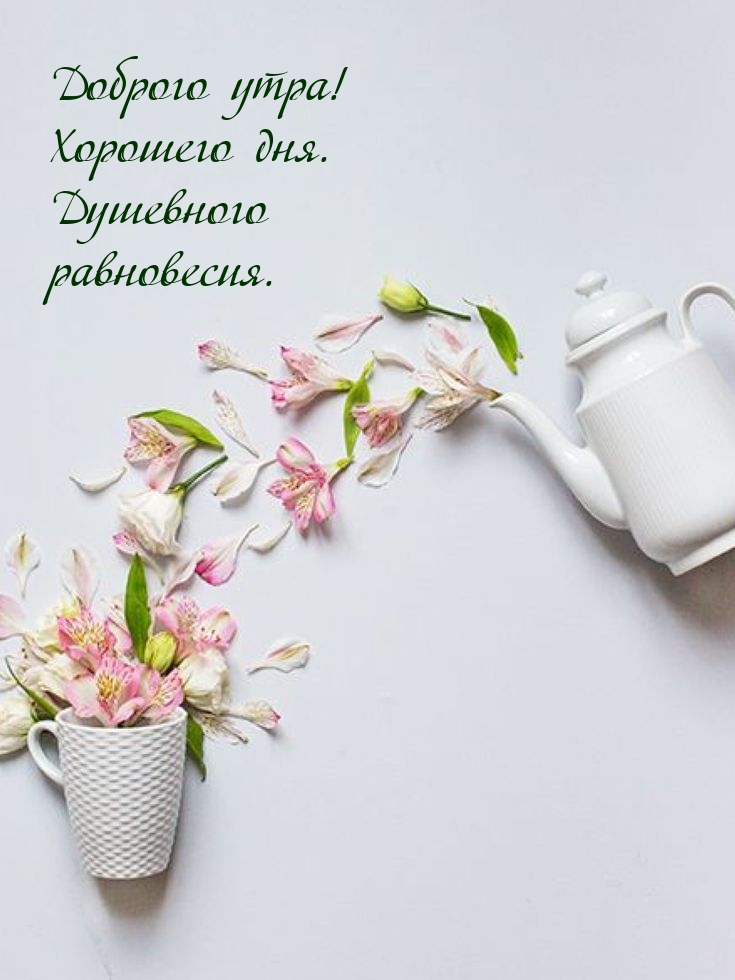 Доброго утра! Хорошего дня. Душевного равновесия.
