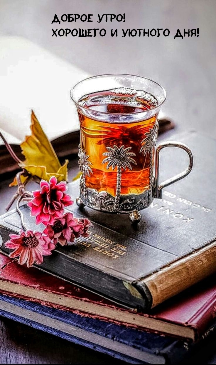 Доброе утро! Хорошего и уютного дня!