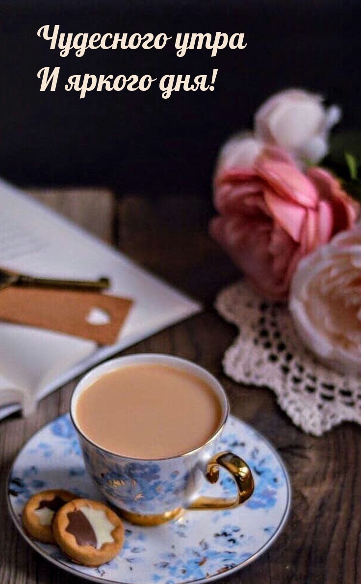 Чудесного утра и яркого дня!