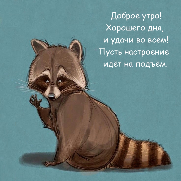 Доброе утро! Хорошего дня, и удачи во всём!