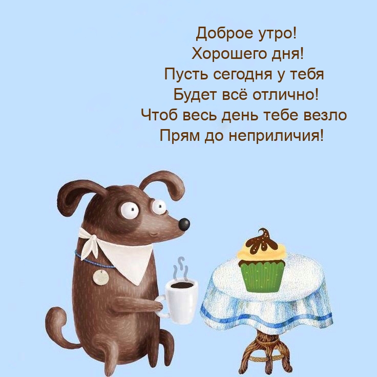Доброе утро! Хорошего дня! Пусть сегодня у будет всё отлично!