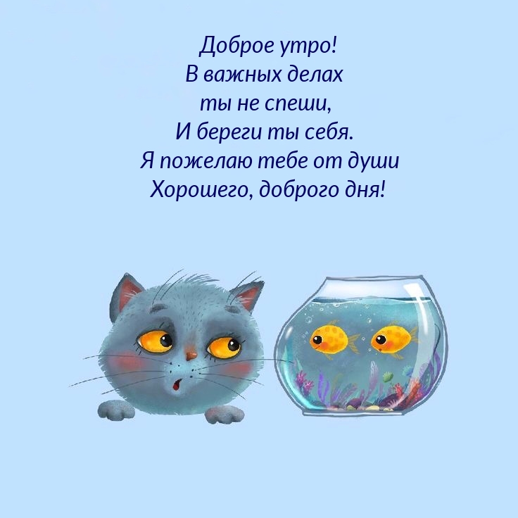 Доброе утро! В важных делах ты не спеши