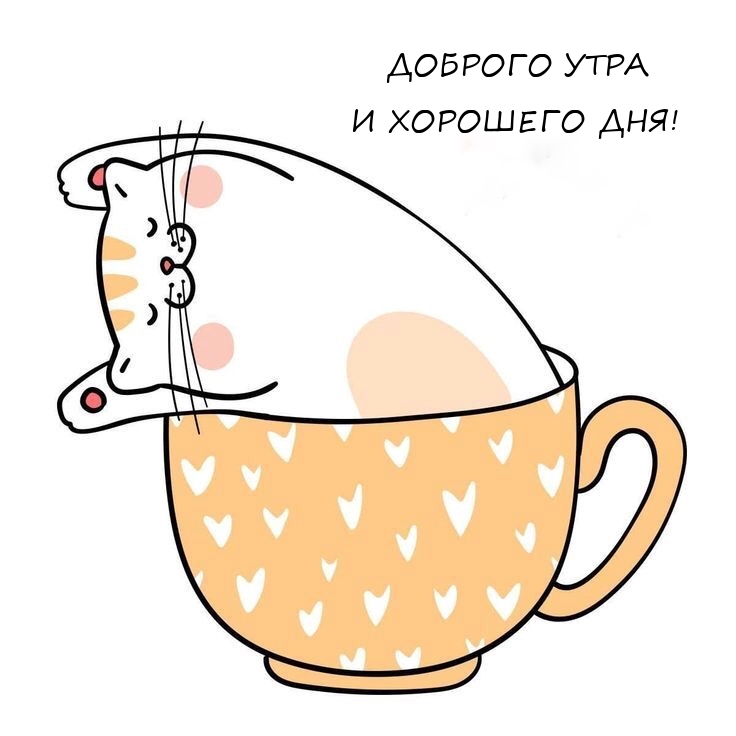 Доброго утра и хорошего дня!