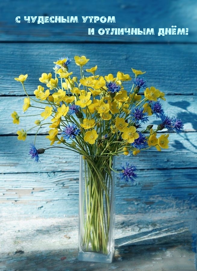 С чудесным утром и отличным днём!