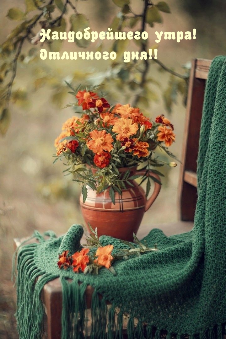 Наидобрейшего утра! Отличного дня!