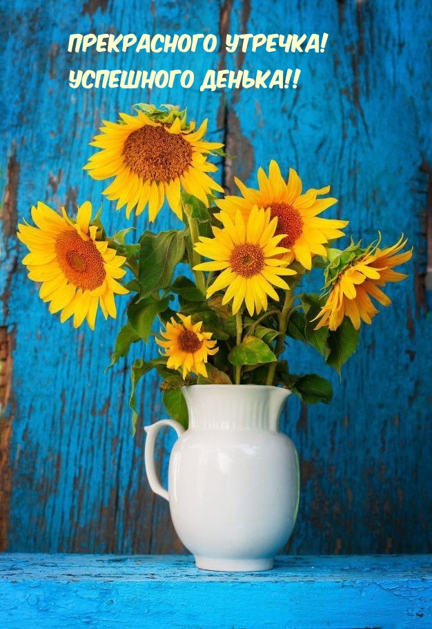 Прекрасного утречка! Успешного денька!!       