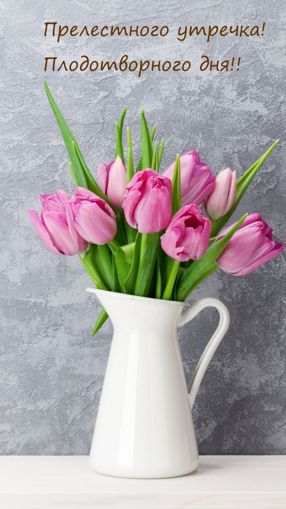 Прелестного утречка! Плодотворного дня!!