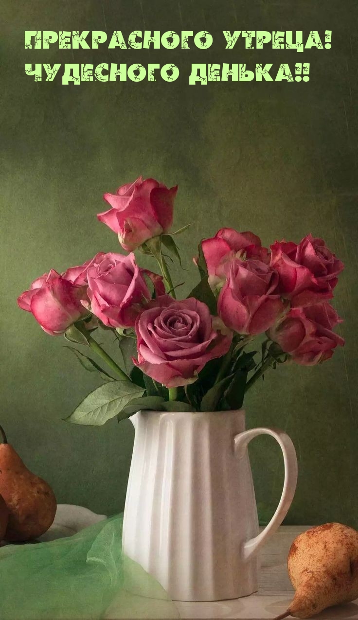 Прекрасного утреца! Чудесного денька!! 