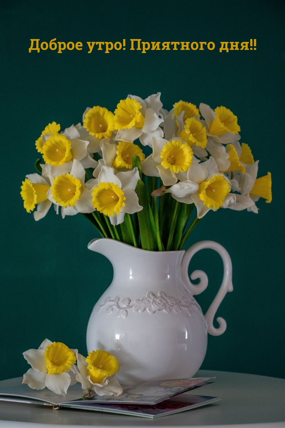 Доброе утро! Приятного дня!