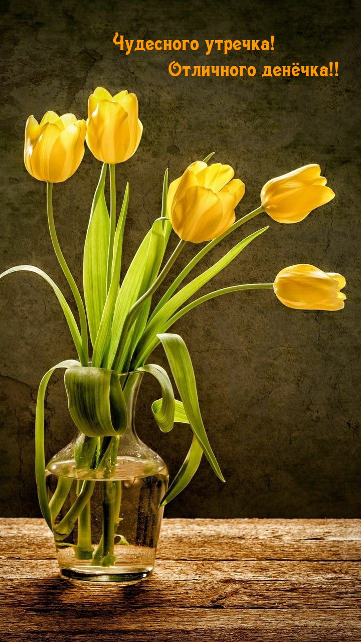 Чудесного утречка! Отличного денёчка!!