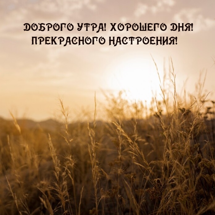 Доброго утра! Хорошего дня! Прекрасного настроения!