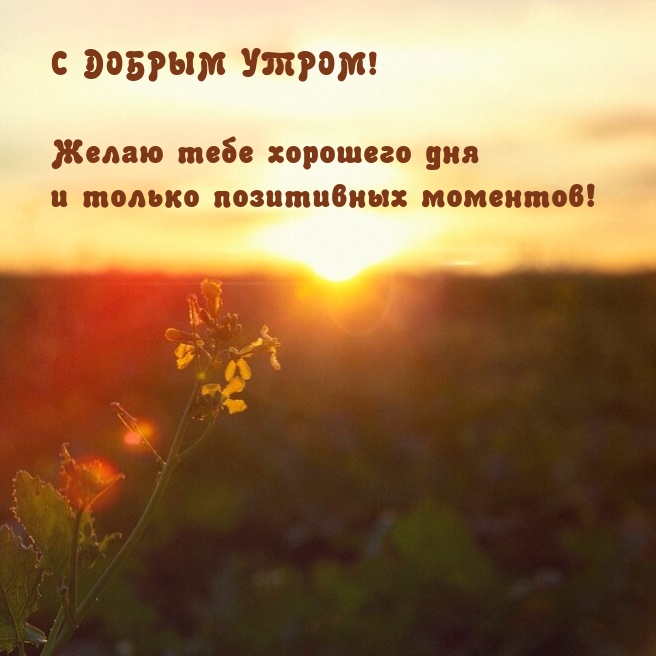 С добрым утром! Желаю хорошего дня и позитивных моментов!