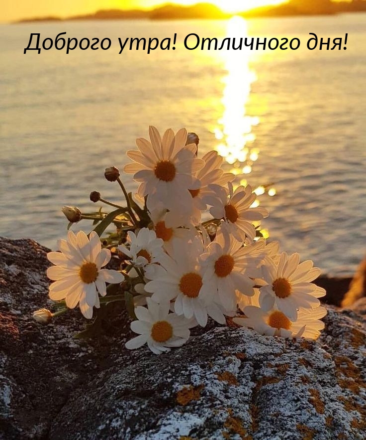 Доброго утра! Отличного дня!