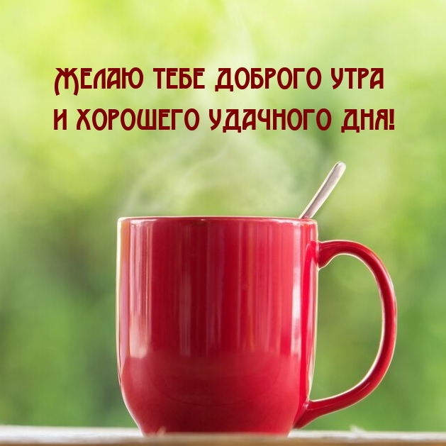 Желаю тебе доброго утра и хорошего удачного дня!