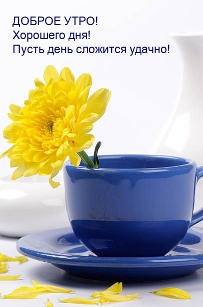 Доброе утро! Хорошего дня! Пусть день сложится удачно!