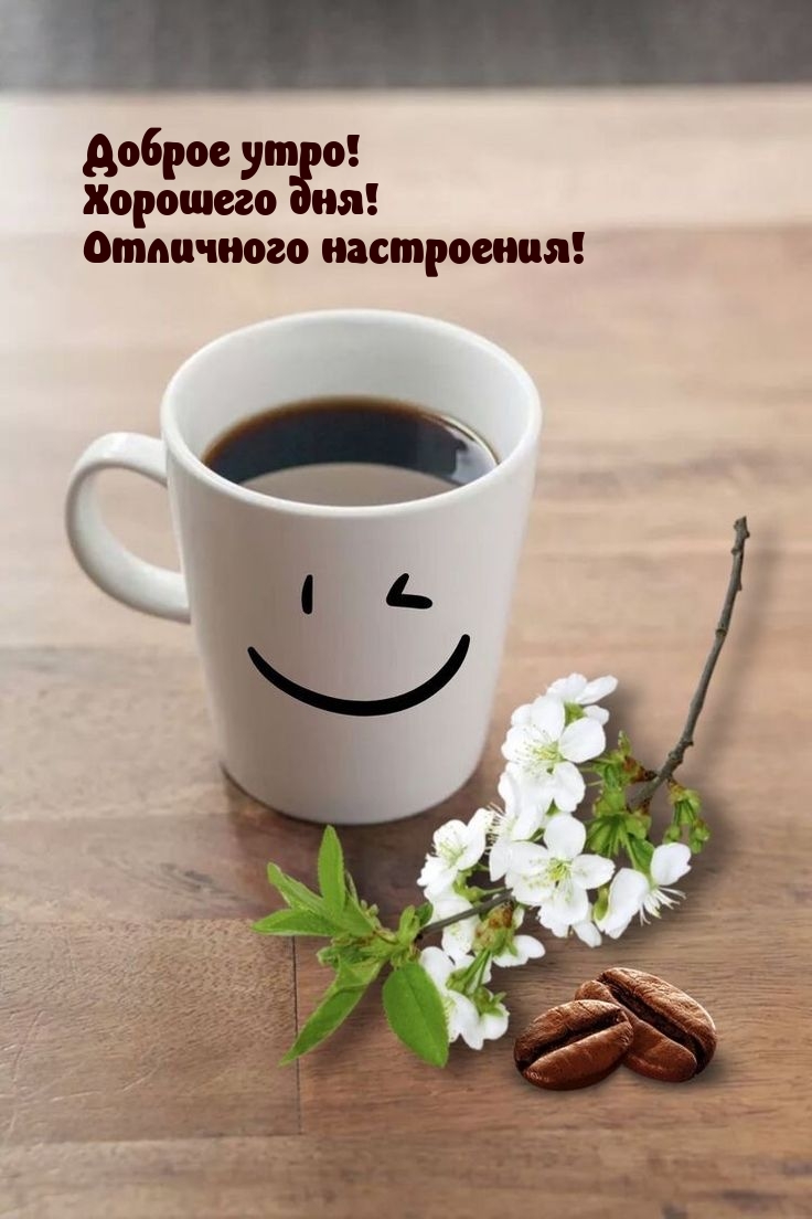 Доброе утро! Хорошего дня! Отличного настроения!