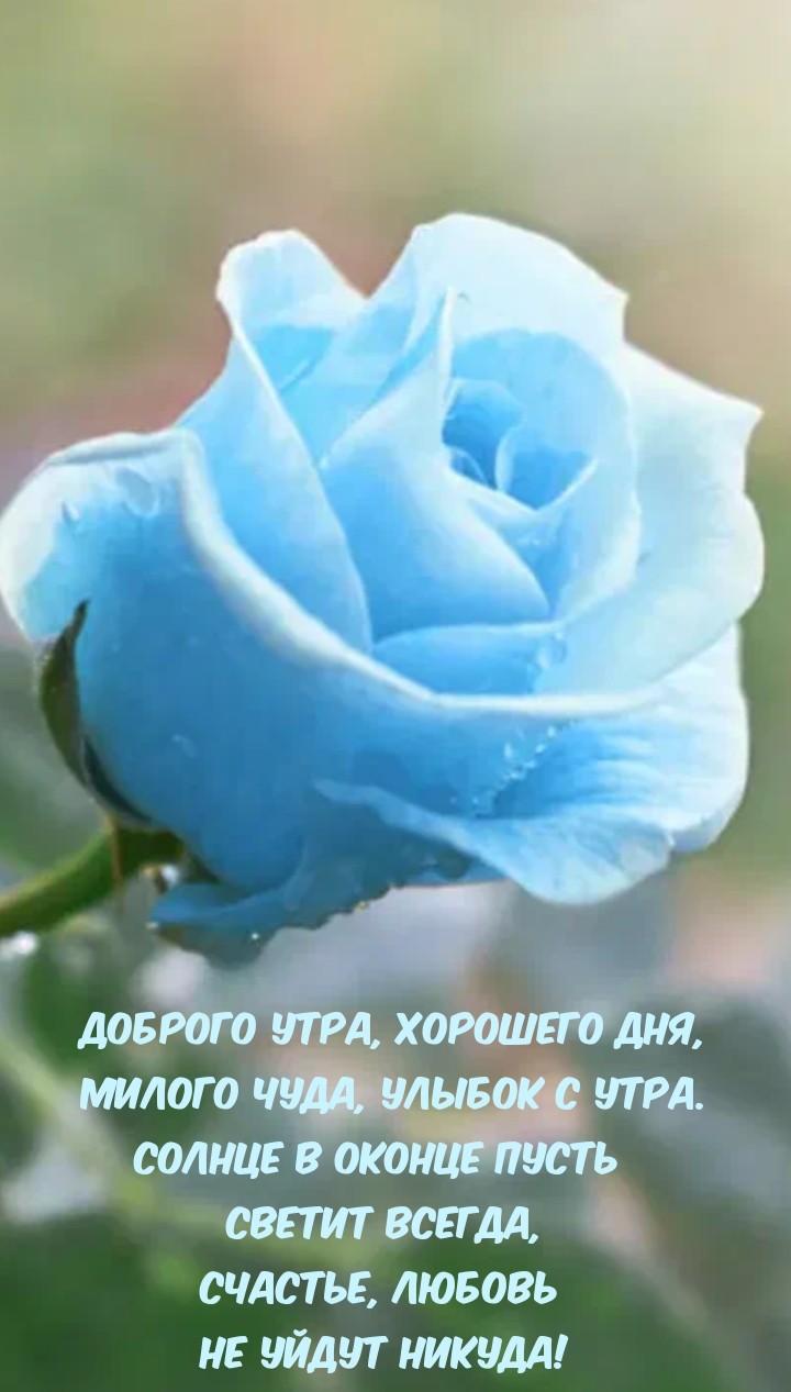 Доброго утра, хорошего дня, милого чуда, улыбок с утра.
