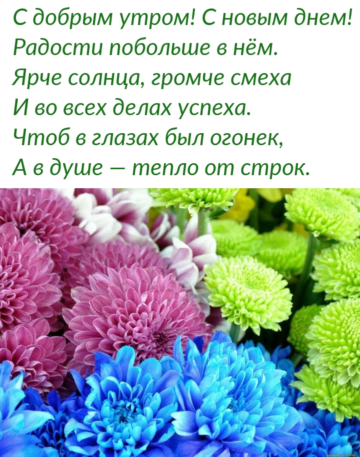 С добрым утром! С новым днем! Радости побольше в нём.