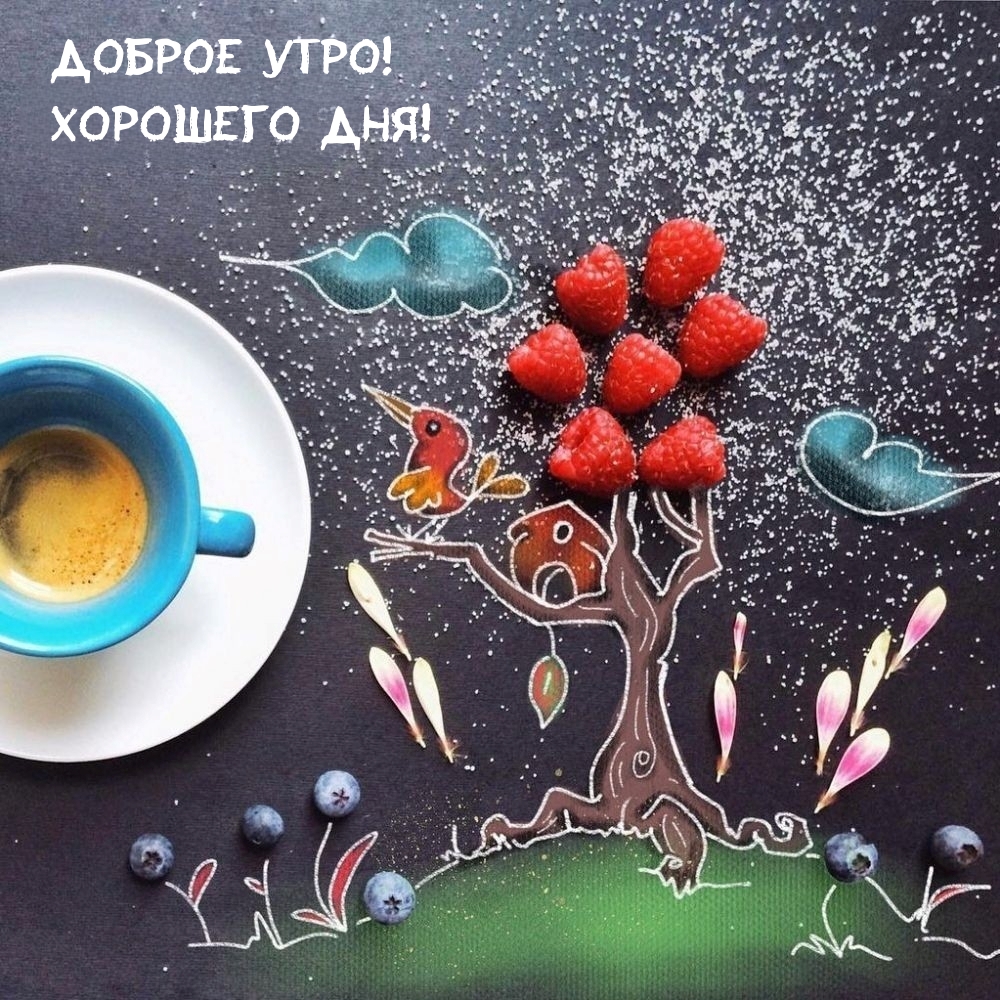 Доброе утро! Хорошего дня!