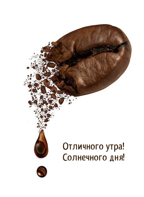 Отличного утра! Солнечного дня!