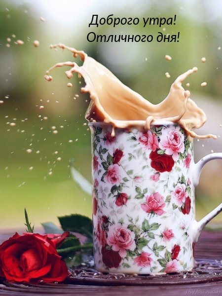 Доброго утра! Отличного дня!