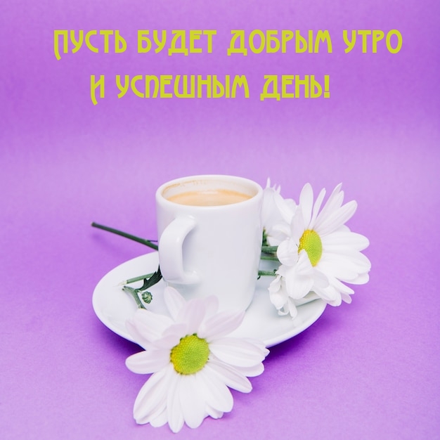 Пусть будет добрым утро и успешным день!